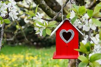 Spring HD Cute Wallpaper For Desktop Pc