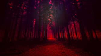 Red Forest Wallpaper