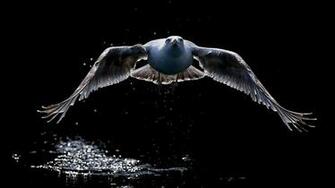 Unique And Mind Blowing HD Wallpaper By Techstop