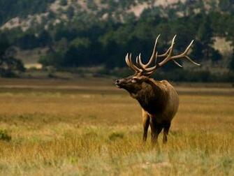 Rocky Mountain National Park Geographic