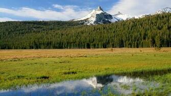 Yosemite National Park In Usa California Wallpaper