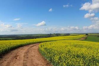 Countryside Pictures Image