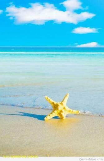 Cute Summer Wallpaper Background HD Neat