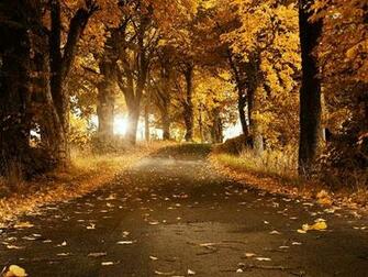 Autumn Road Desktop Wallpaper