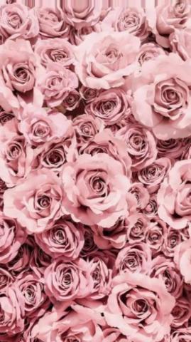 Pink Roses Vibe Video Phone Wallpaper Rose Gold