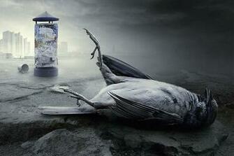 Weird Wallpaper Dcf Jpg Nov X