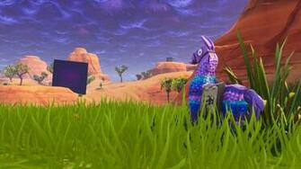 Fortnite Lama Wallpaper Top Background