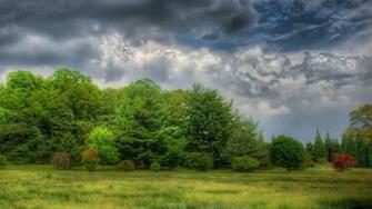 Summer Storm Wallpaper