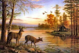 Deer Pictures Wallpaper