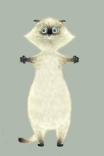 Funny Cat iPhone HD Wallpaper
