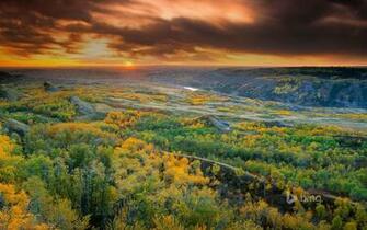 Bing Daily Image HD Wallpaper Archive Full