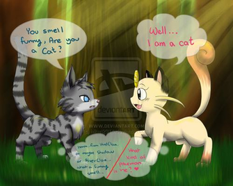 Swift Of Falling Stars Image Jaystar And Meowth