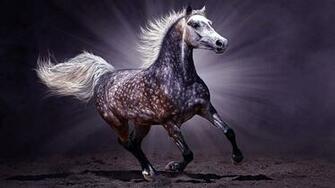 Dark Horse Wallpaper