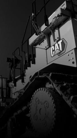 Caterpillar Wallpaper Virtual Background Cat