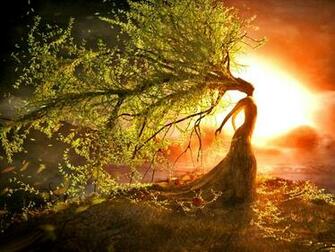 Soulshine S Summer Solstice Wild Woman Retreat Soul Shine
