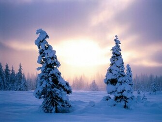 Winter Scenes Hq Computer Wallpaers