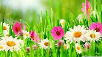 Easter Wallpaper Festival