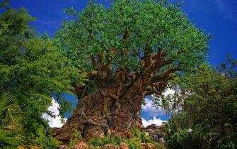 Tree Of Life In The Kingdom Disney Garden Wallpaper Background