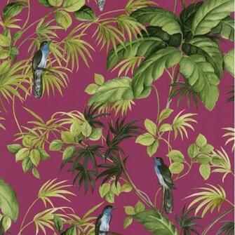 International Tropical Exotic Birds Trees Leaves Wallpaper