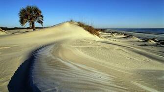 Seashore Backrounds National Desktop Cumberl Isl Beach HD Wallpaper