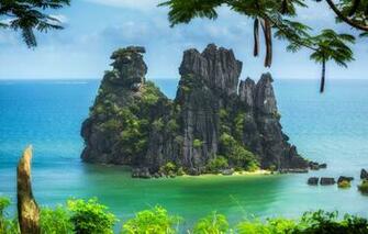 Wallpaper Trees Branches Rocks Island The Pacific Ocean New