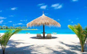 Tropical Desktop Wallpaper