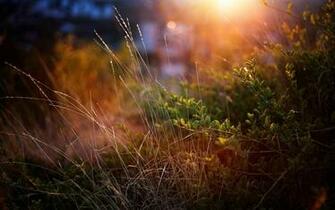 Desktop HD Wallpaper Incredible