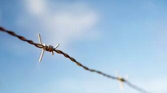 Barbed Wire Wallpaper
