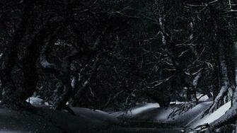 Canopycreekwinternight23x1440p High Resolution