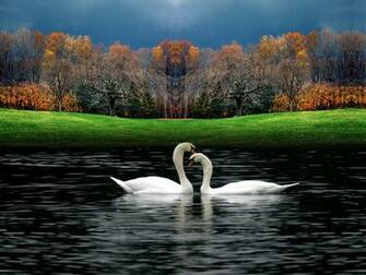 Beautifull Wallpaper