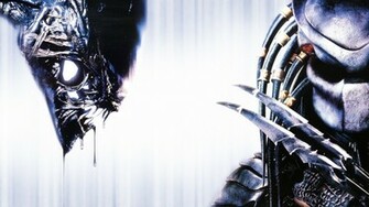 Avp Wallpaper Alien Vs Predator