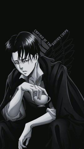 Levi Wallpaper Cartoon Anime Monochrome Black Hair And White