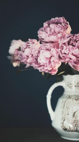 Pink Peonies More Peony iPhone Wallpaper