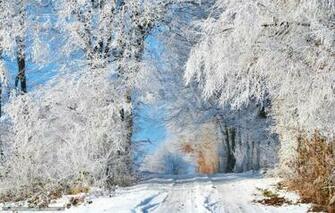 Sunny Winter Day Wallpaper