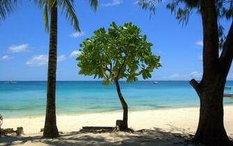 Beach Scenery Wallpaper