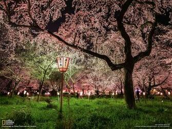 Picture Garden Wallpaper National Geographic Photo Of The Day
