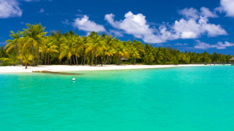 Tropical Island
