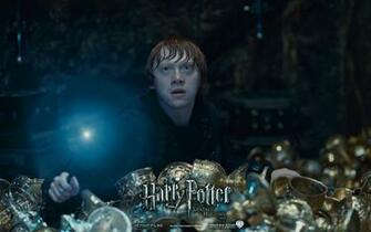 Harry Potter Deathly Hallows Part Ii Dark Brown Hairs