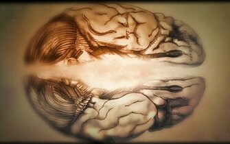 Brain Dr House Generic Wallpaper