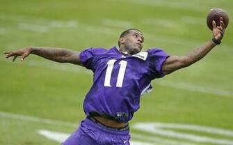 Jul Mankato Mn Usa Minnesota Vikings Wide Receiver Mike