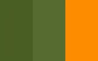 Dark Orange Background Moss Green Olive And