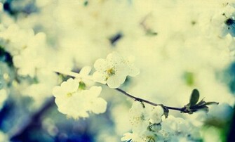 Vintage Flower By Shiyen119