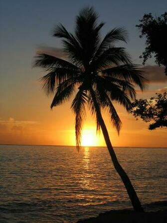 Caribbean Sunset Desktop Background For HD Wallpaper Wall