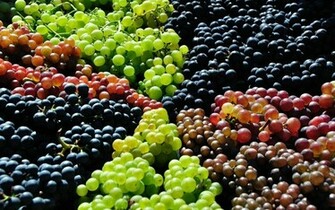Grapes Computer Wallpaper Desktop Background Id