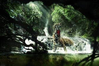 No Fear High Quality And Resolution Wallpaper On
