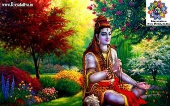 Divyatattva Astrology Horoscopes Psychic Tarot Yoga Tantra