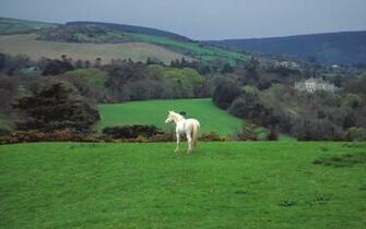 Ireland Around The World Photography Desktop Wallpaper S