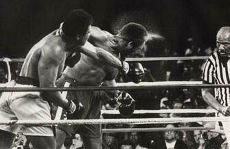 Boxing Wallpaper Hq Walls Collection Desktop