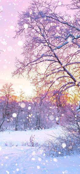 Snow iPhone Wallpaper Nature Winter