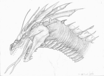 Dragon Head Drawings Wallpaper Hq Background HD